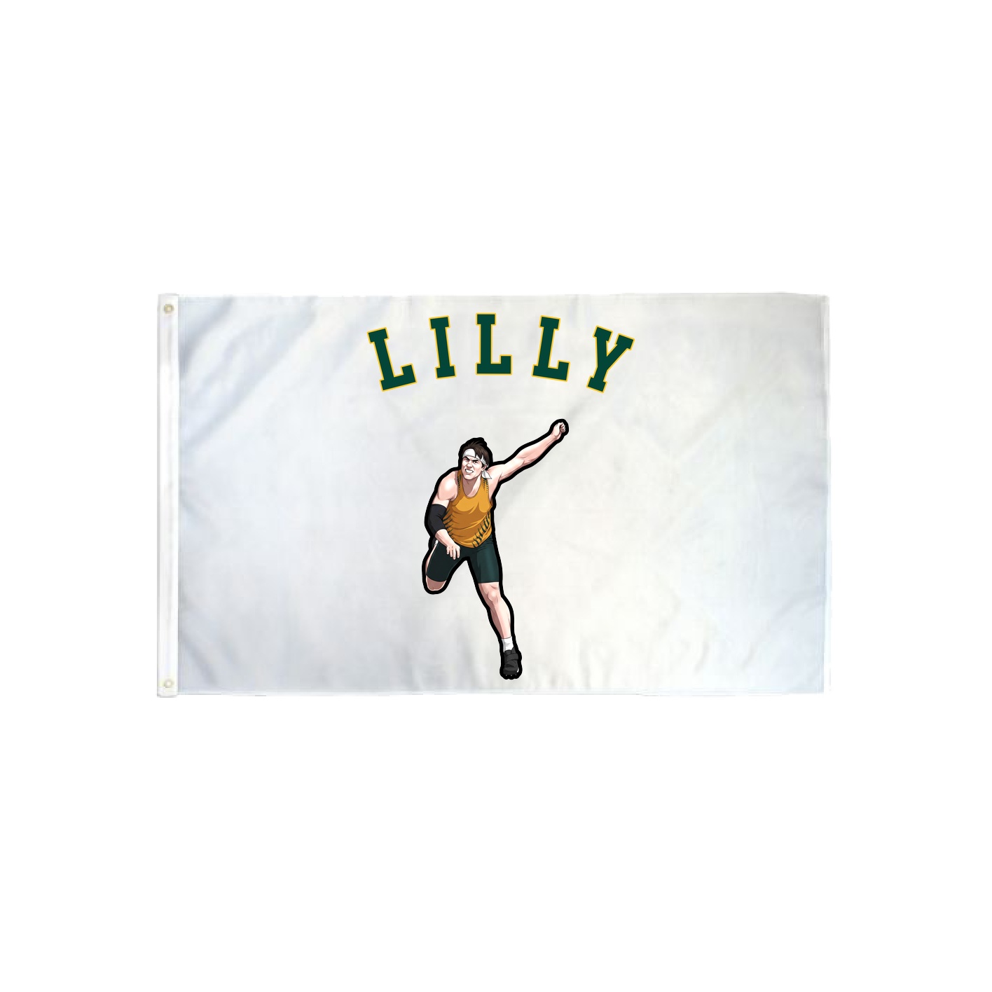 3x5 Flag — Shirsey Arch in Classic
