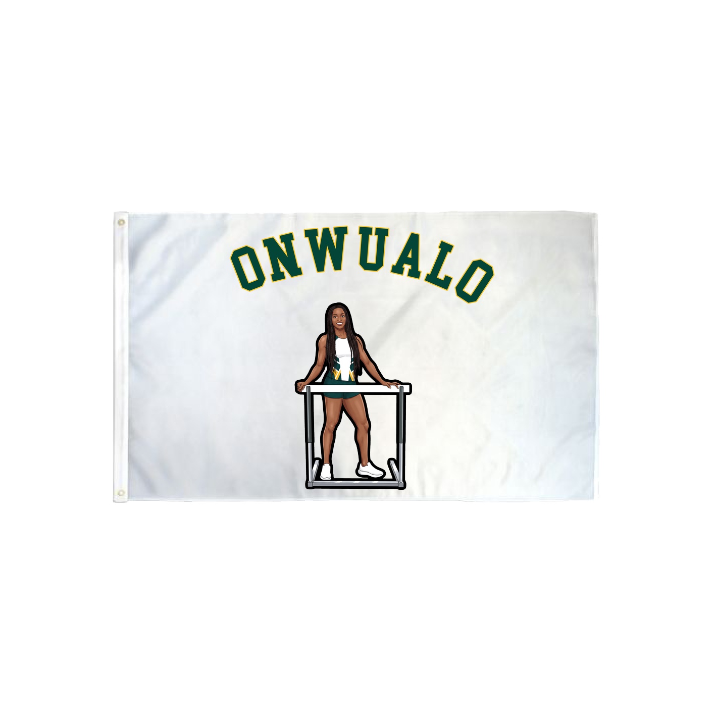 3x5 Flag — Shirsey Arch in Classic
