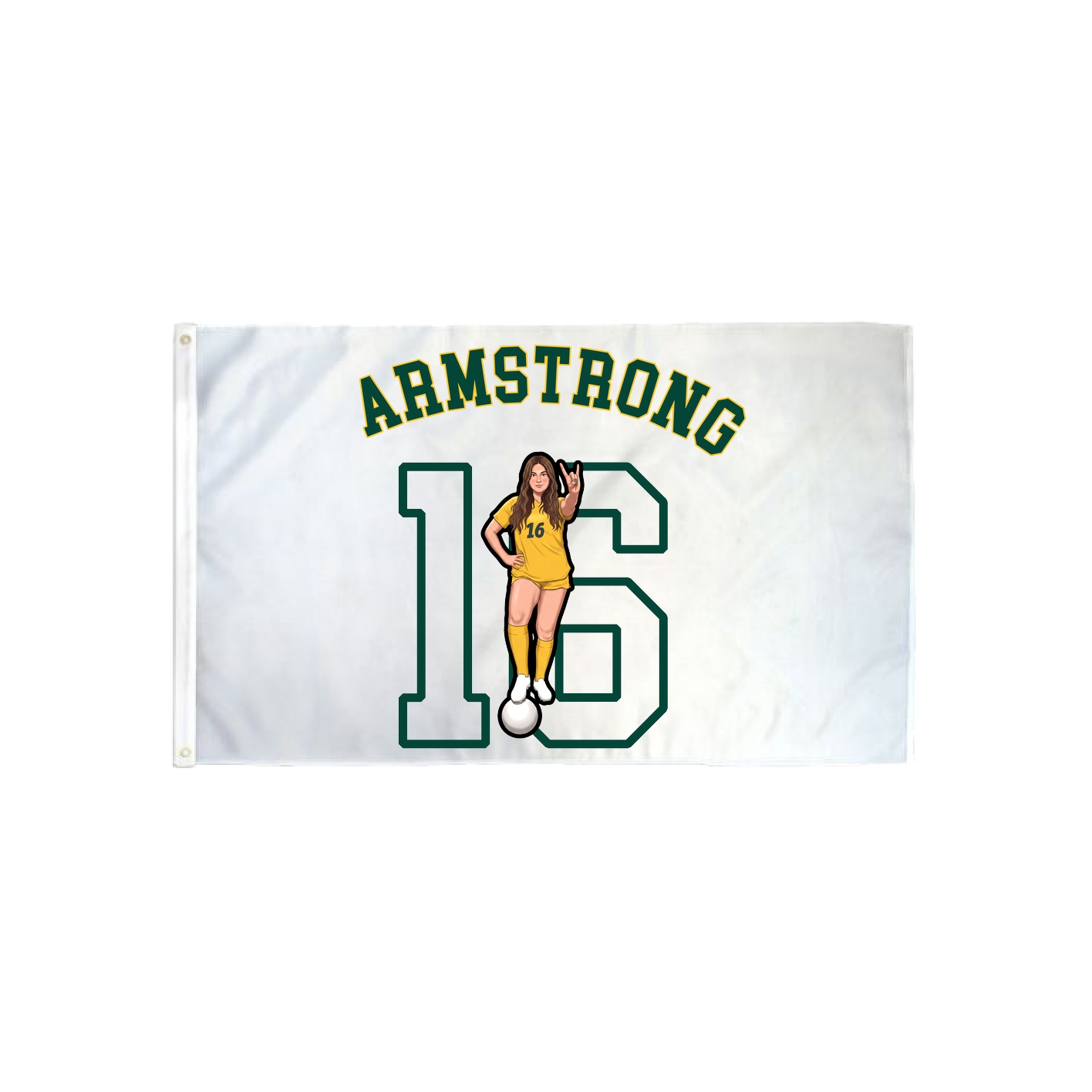 3x5 Flag — Shirsey Arch in Classic
