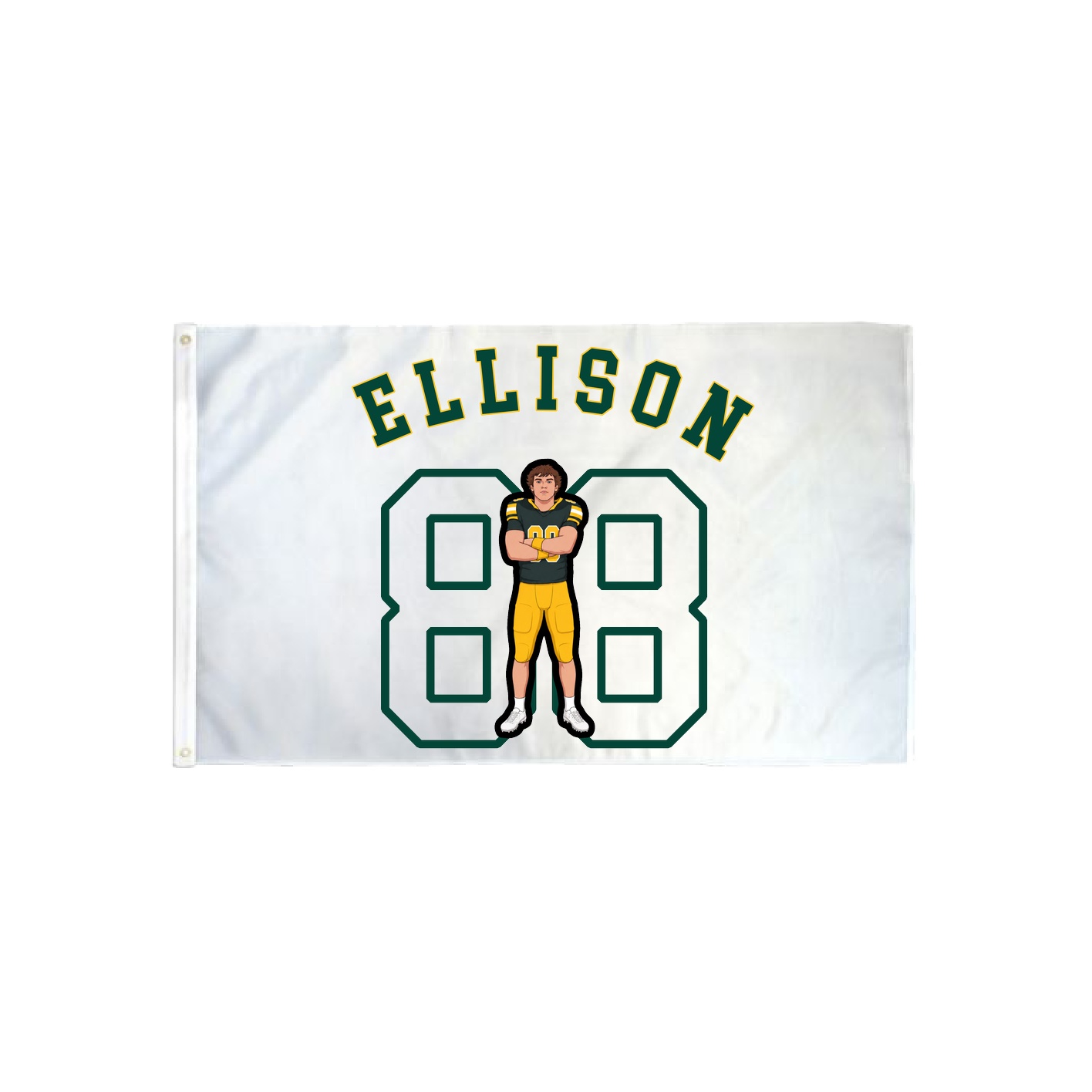 3x5 Flag — Shirsey Arch in Classic