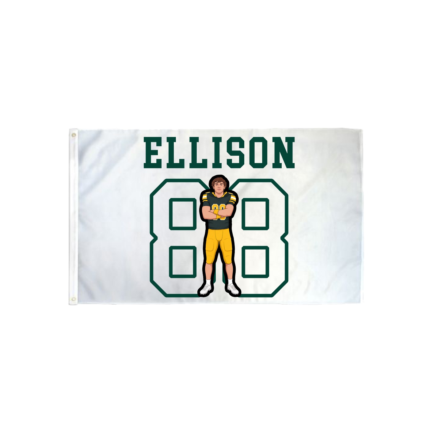 3x5 Flag — Shirsey in Classic