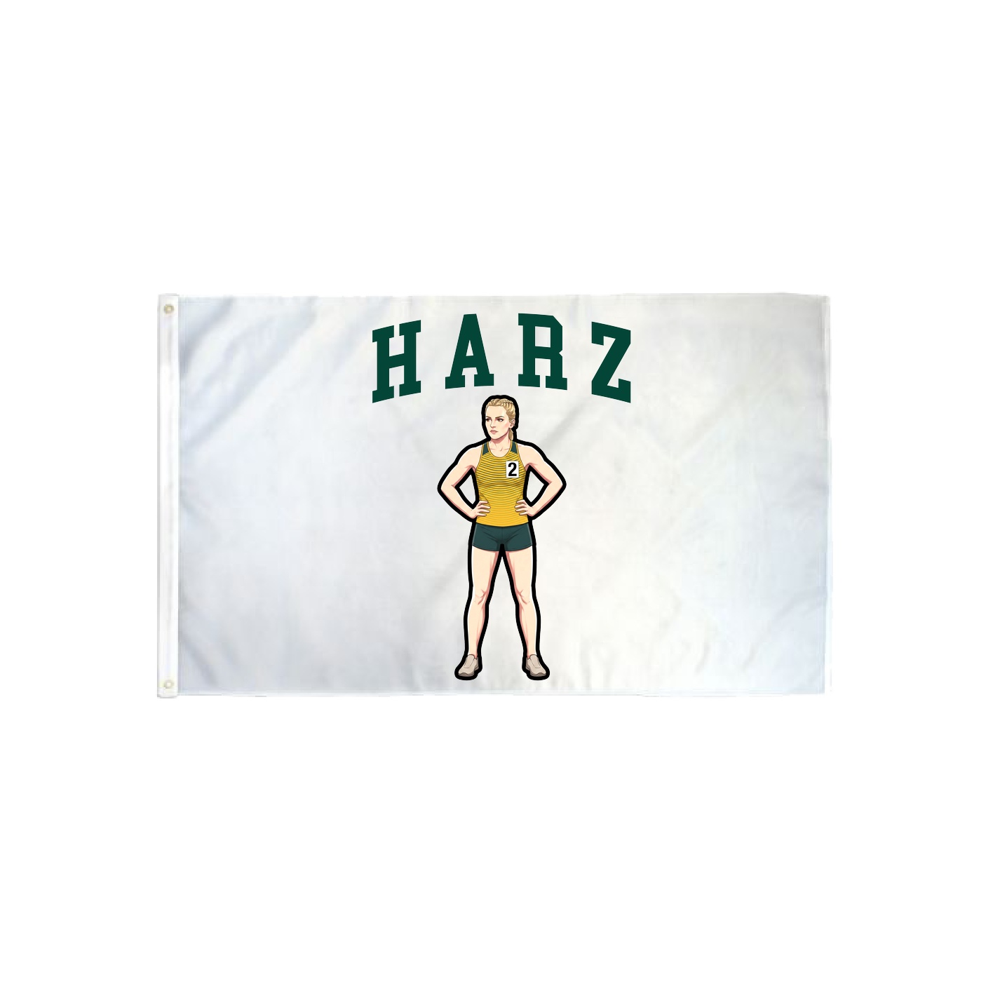 3x5 Flag — Shirsey in Classic