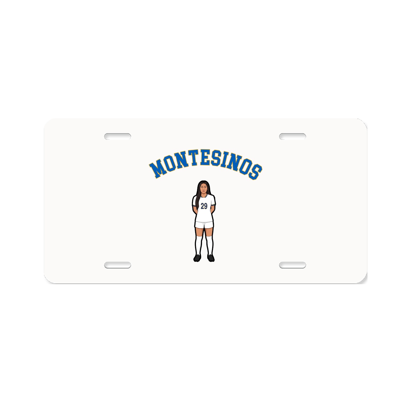 Aluminum License Plate