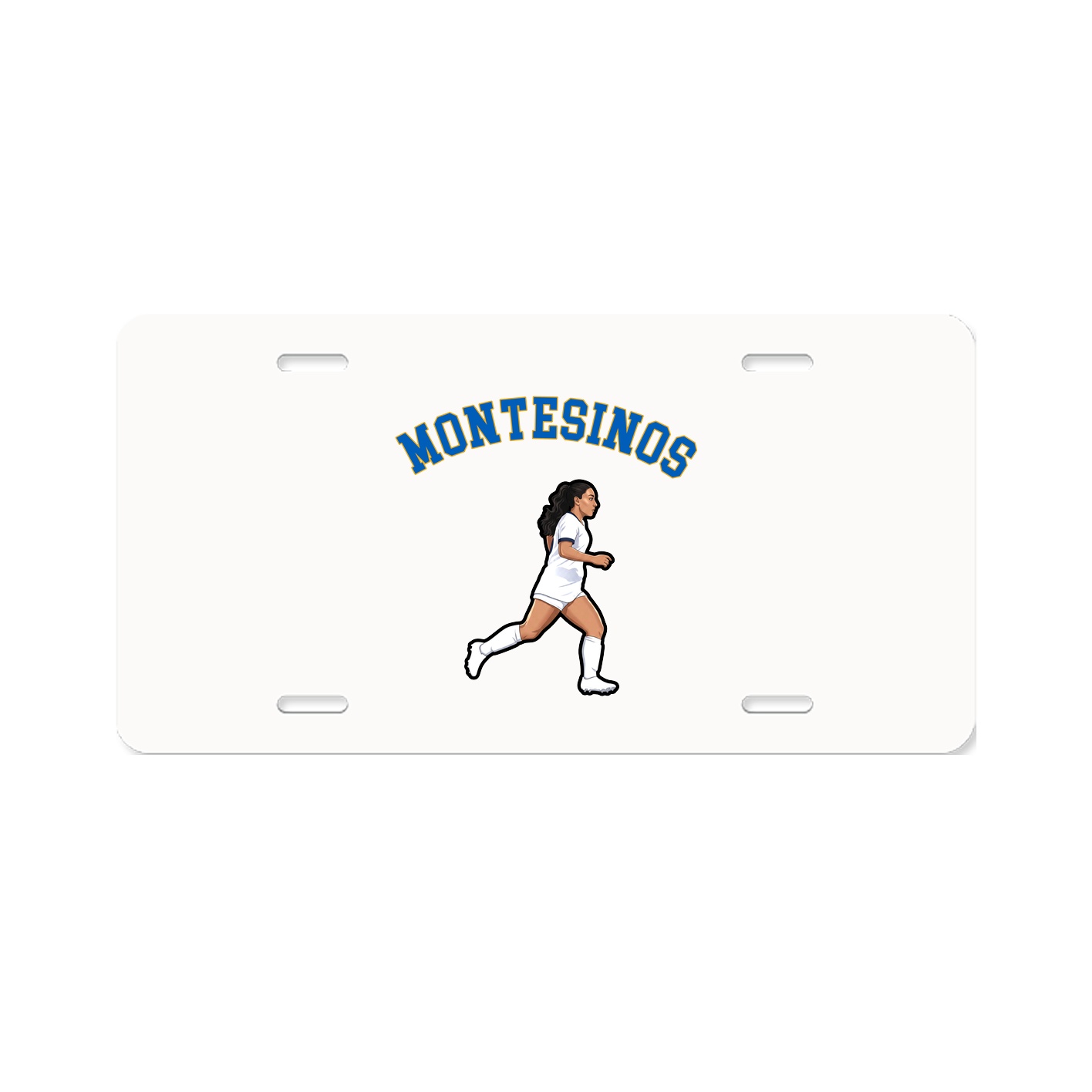 Aluminum License Plate