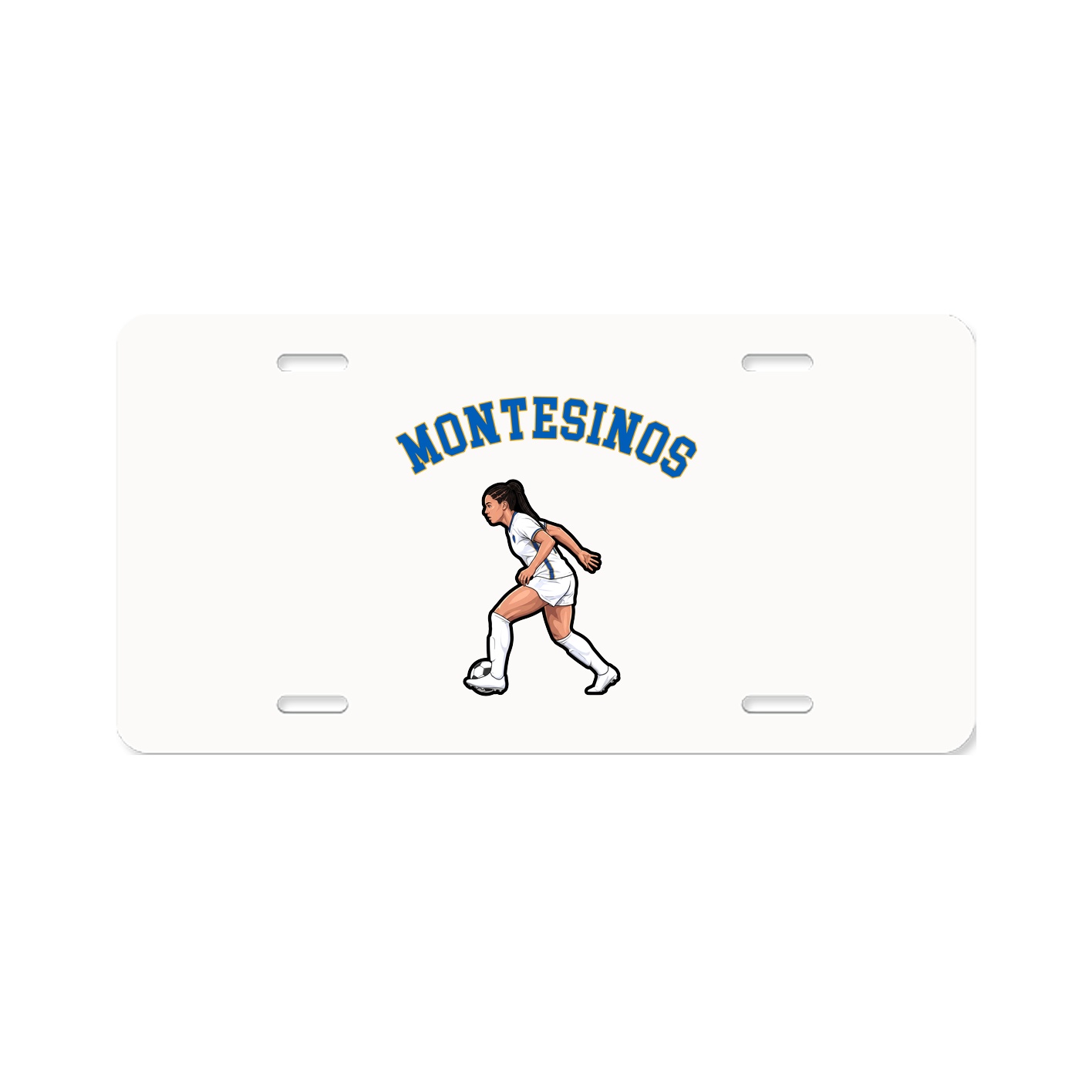 Aluminum License Plate