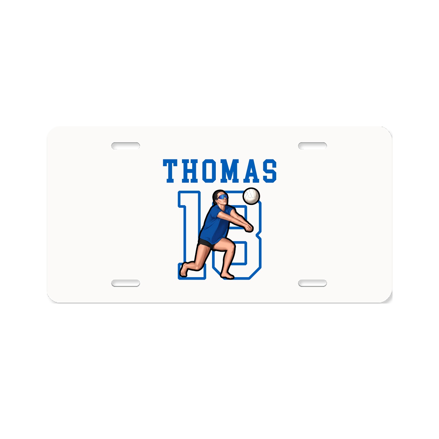 License Plate
