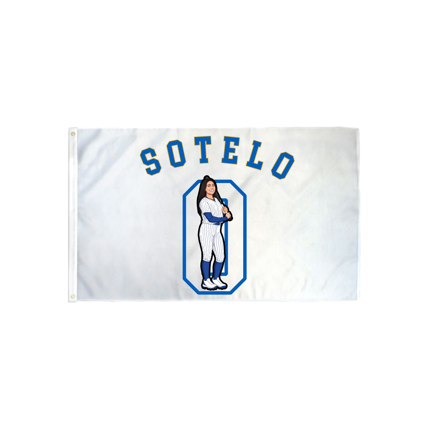 3x5 Flag — Shirsey Arch in Classic