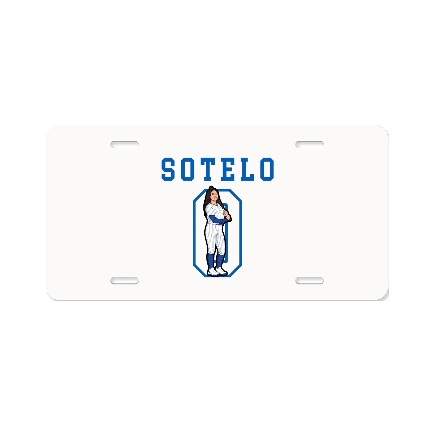 Aluminum License Plate