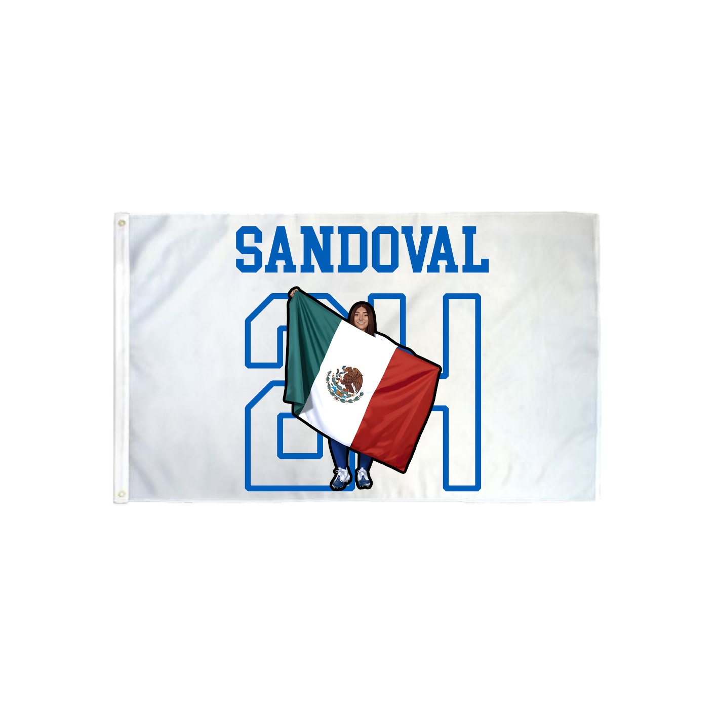 3x5 Flag — Shirsey in Classic