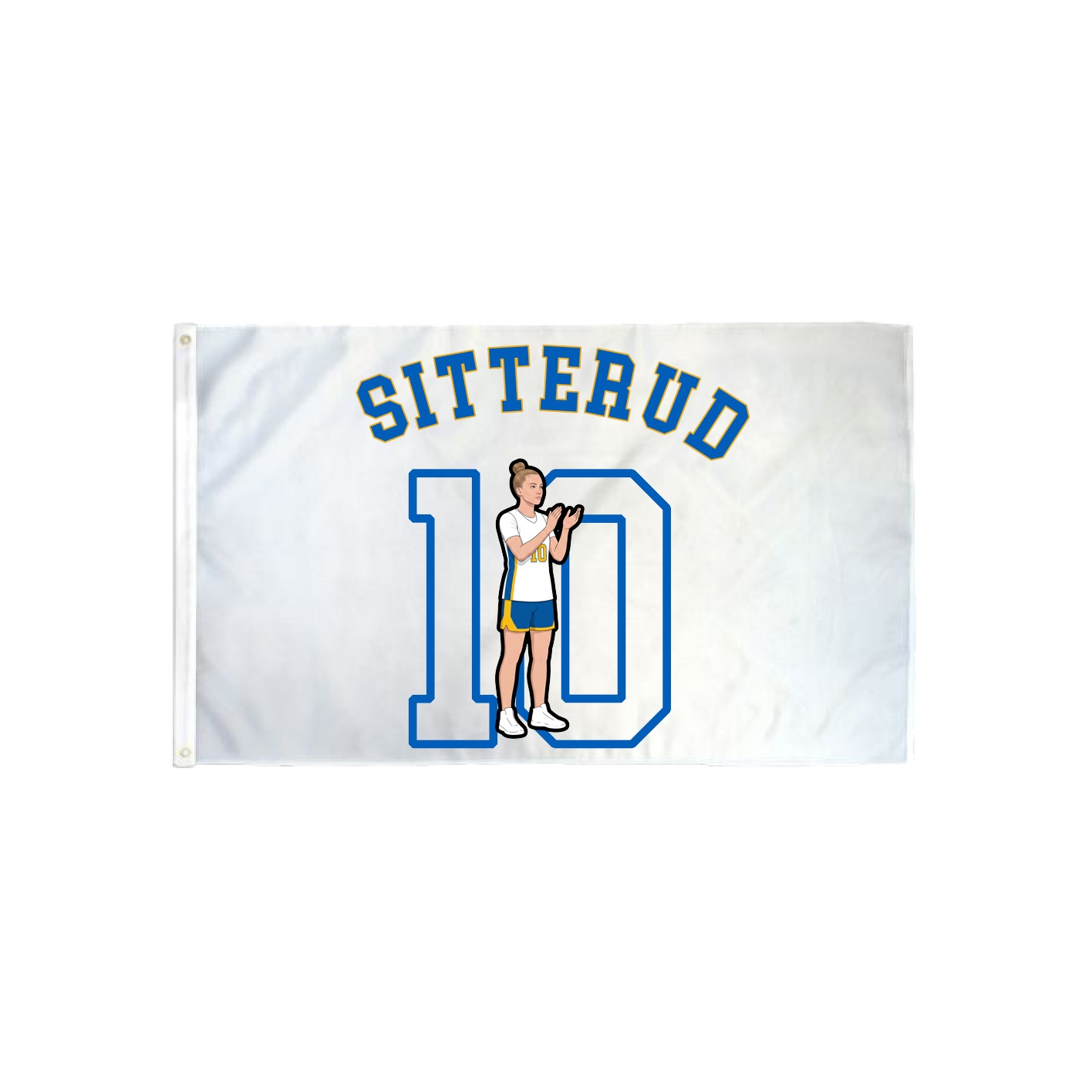 3x5 Flag — Shirsey Arch in Classic