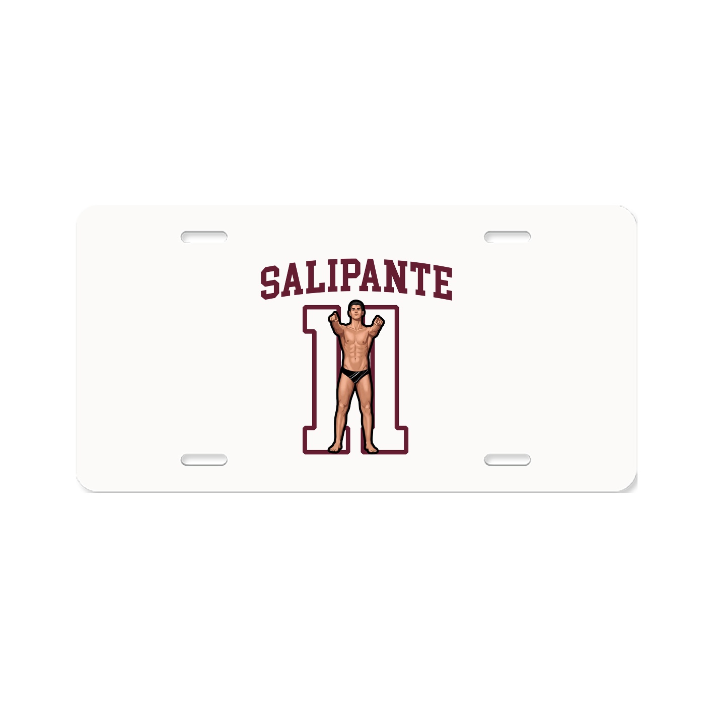 Aluminum License Plate