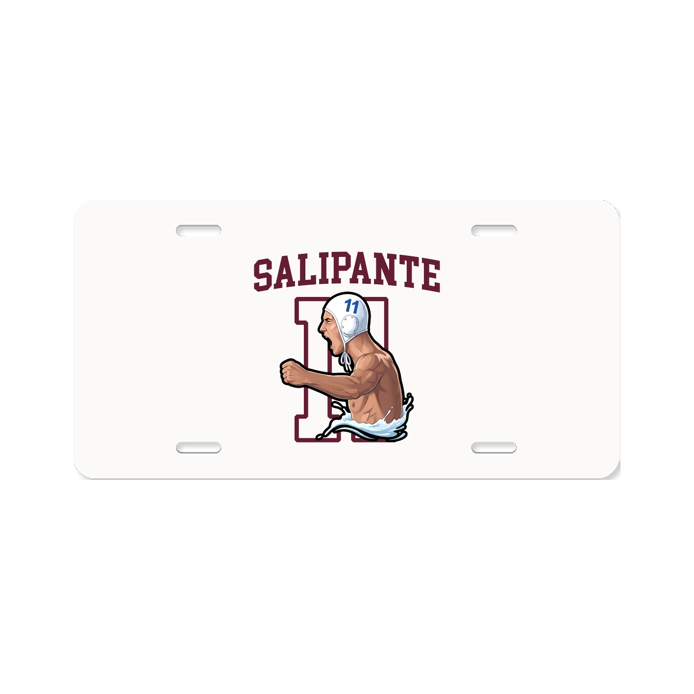 Aluminum License Plate