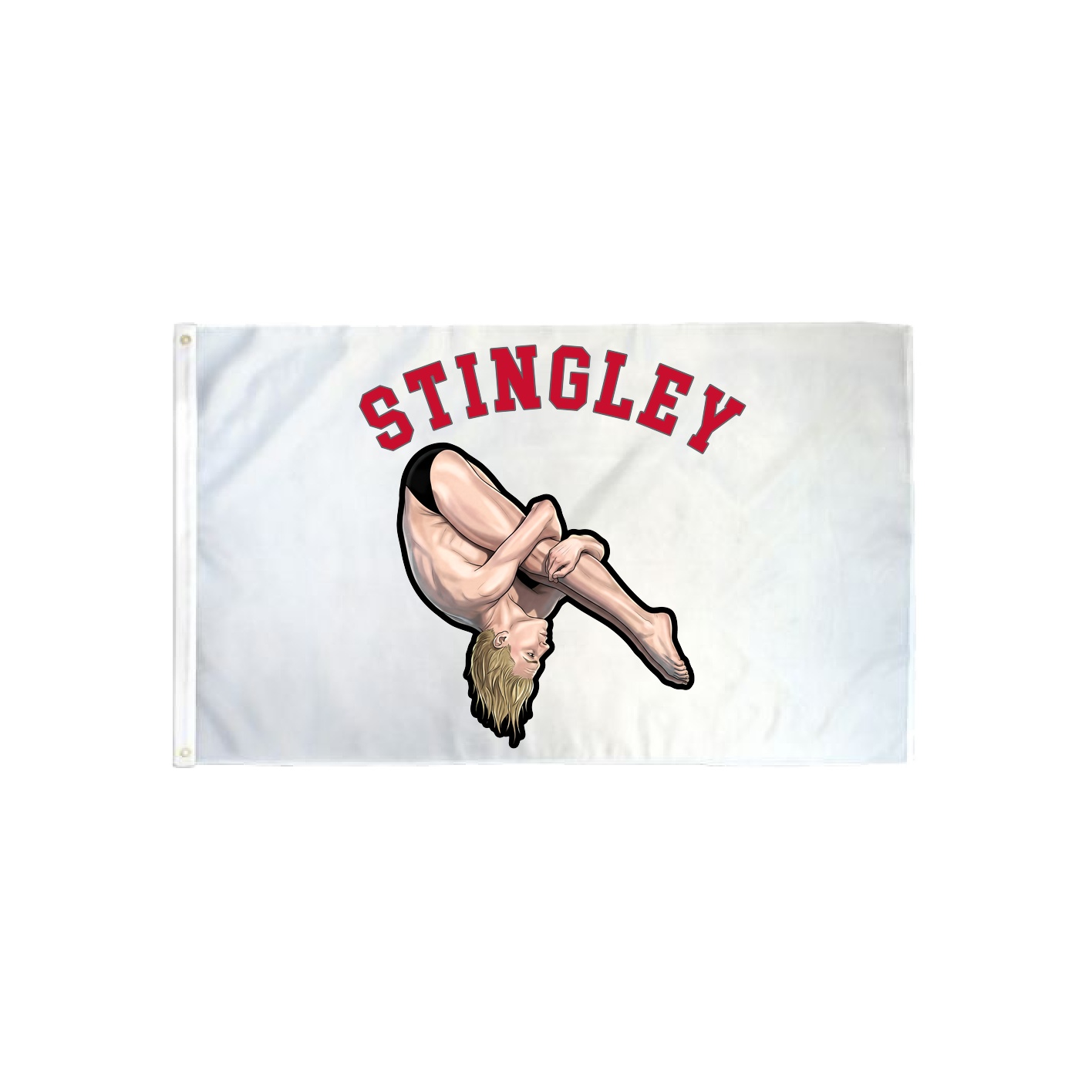 3x5 Flag — Shirsey Arch in Classic