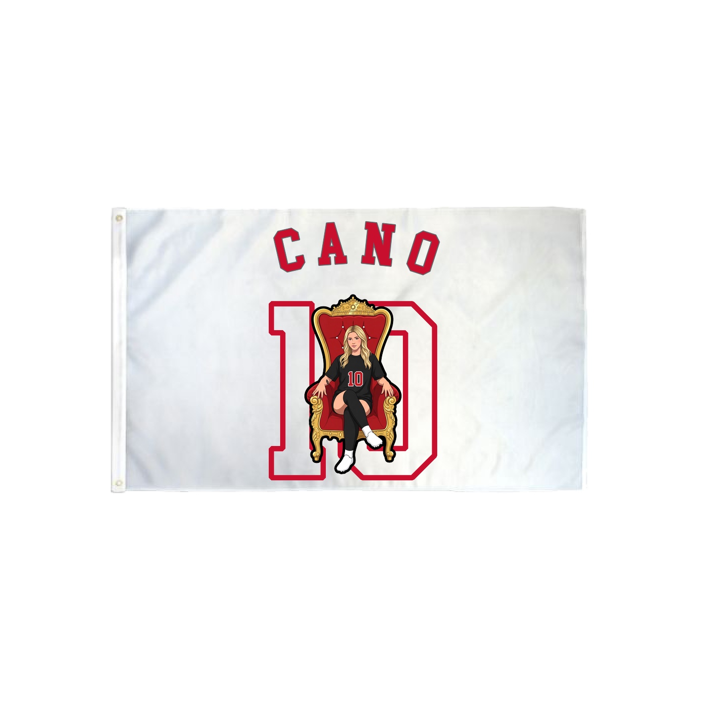 3x5 Flag — Shirsey Arch in Classic