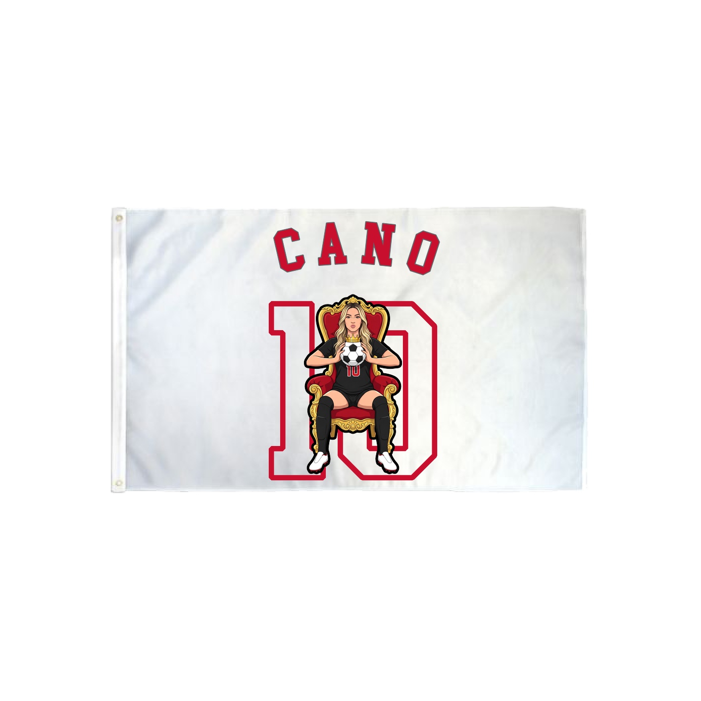3x5 Flag — Shirsey Arch in Classic