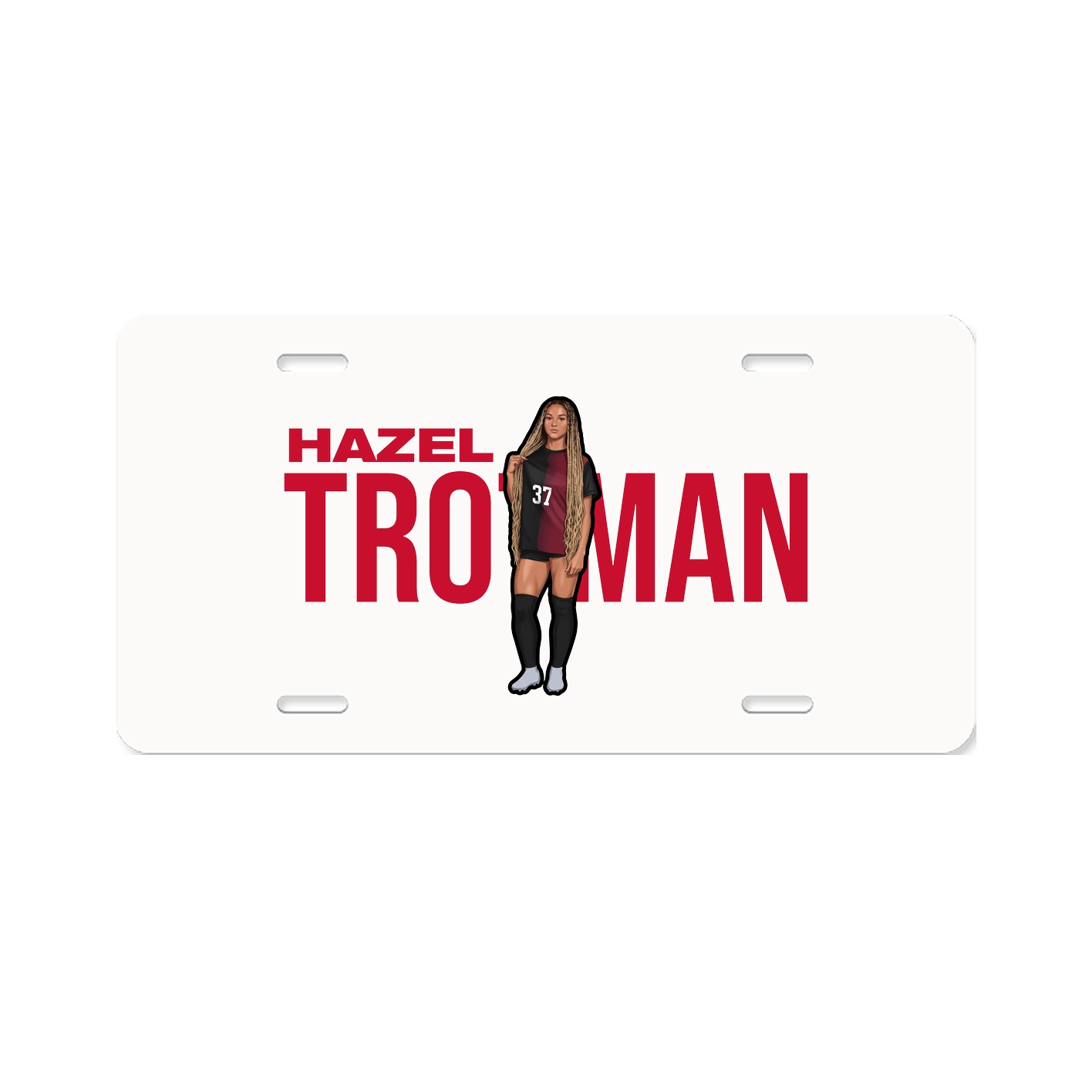 License Plate
