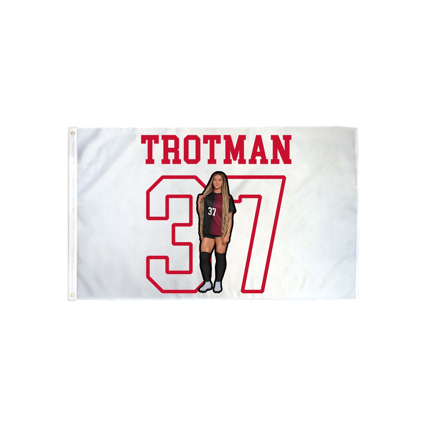 3x5 Flag — Shirsey in Classic