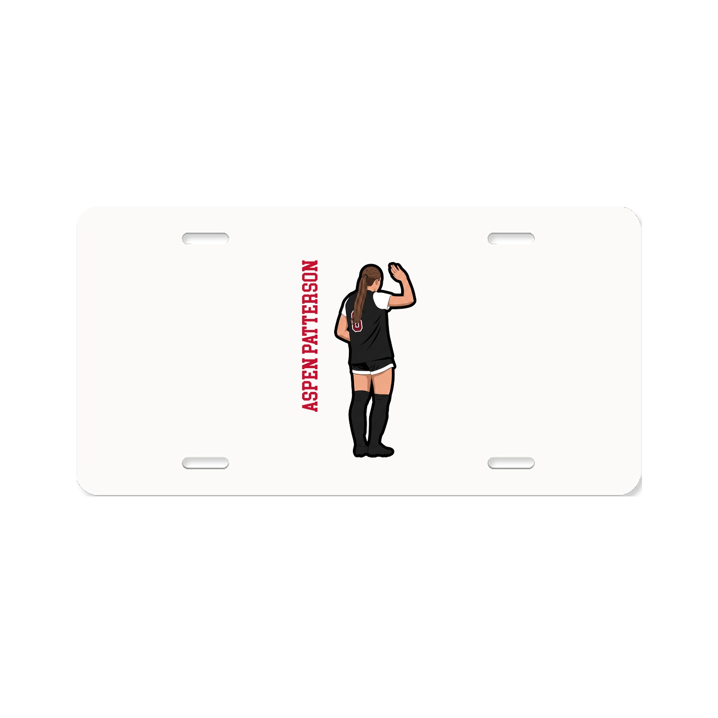 Aluminum License Plate