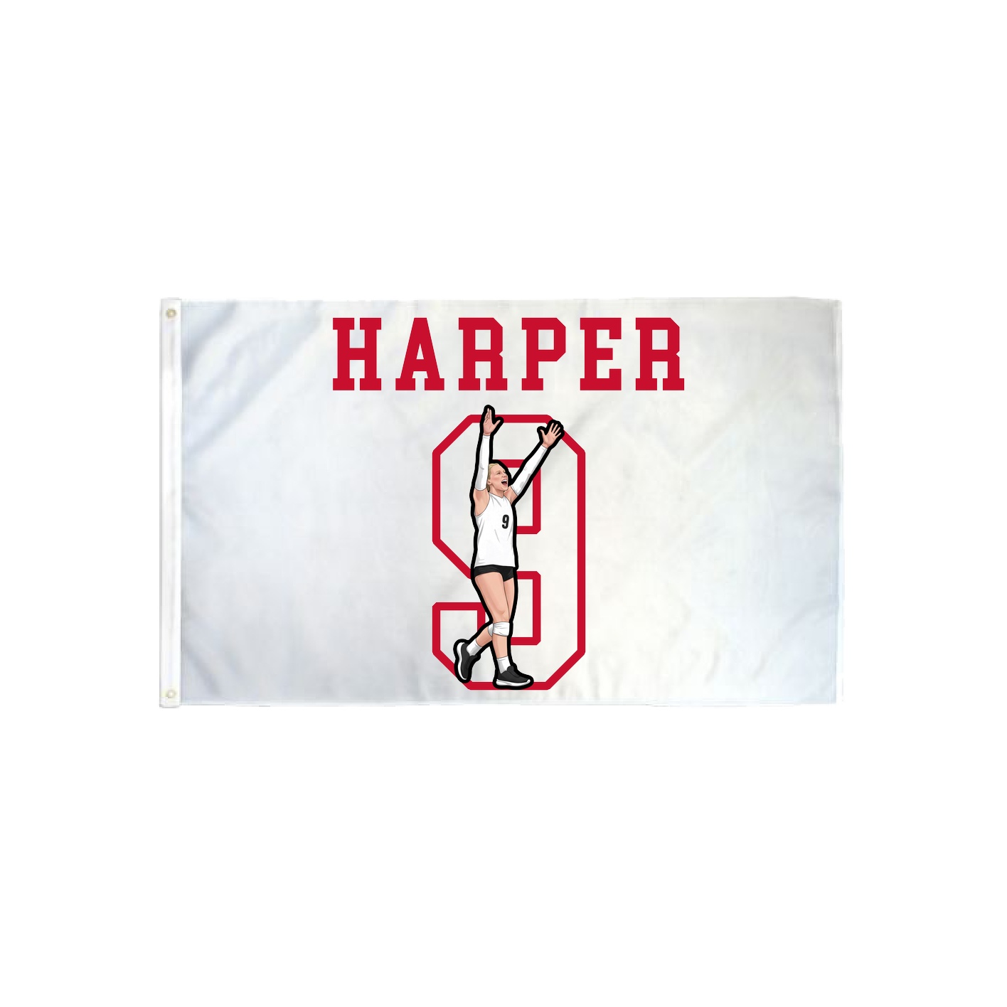 3x5 Flag — Shirsey in Classic