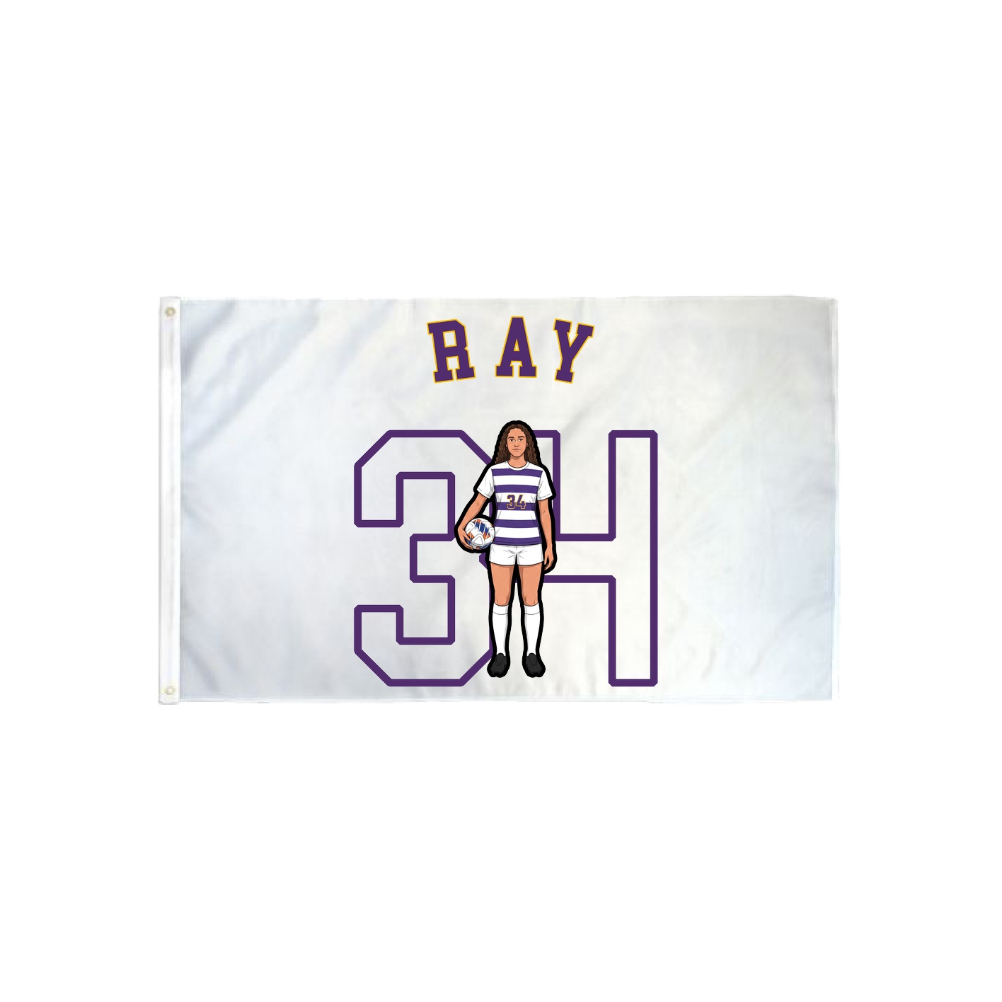 3x5 Flag — Shirsey Arch in Classic