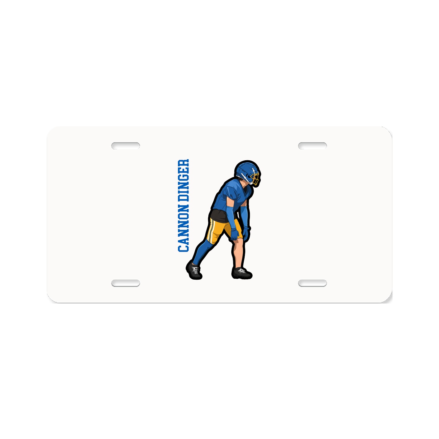 Aluminum License Plate