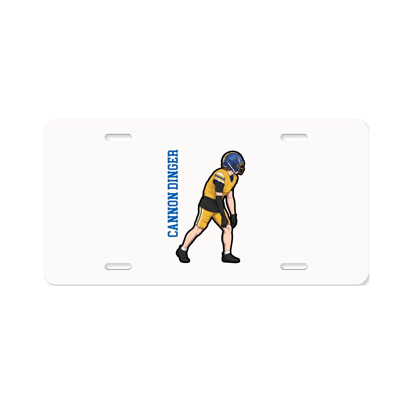 Aluminum License Plate