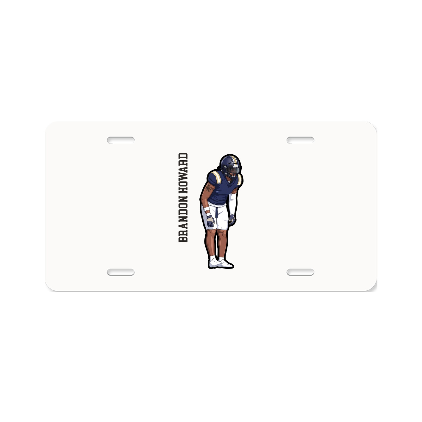 Aluminum License Plate