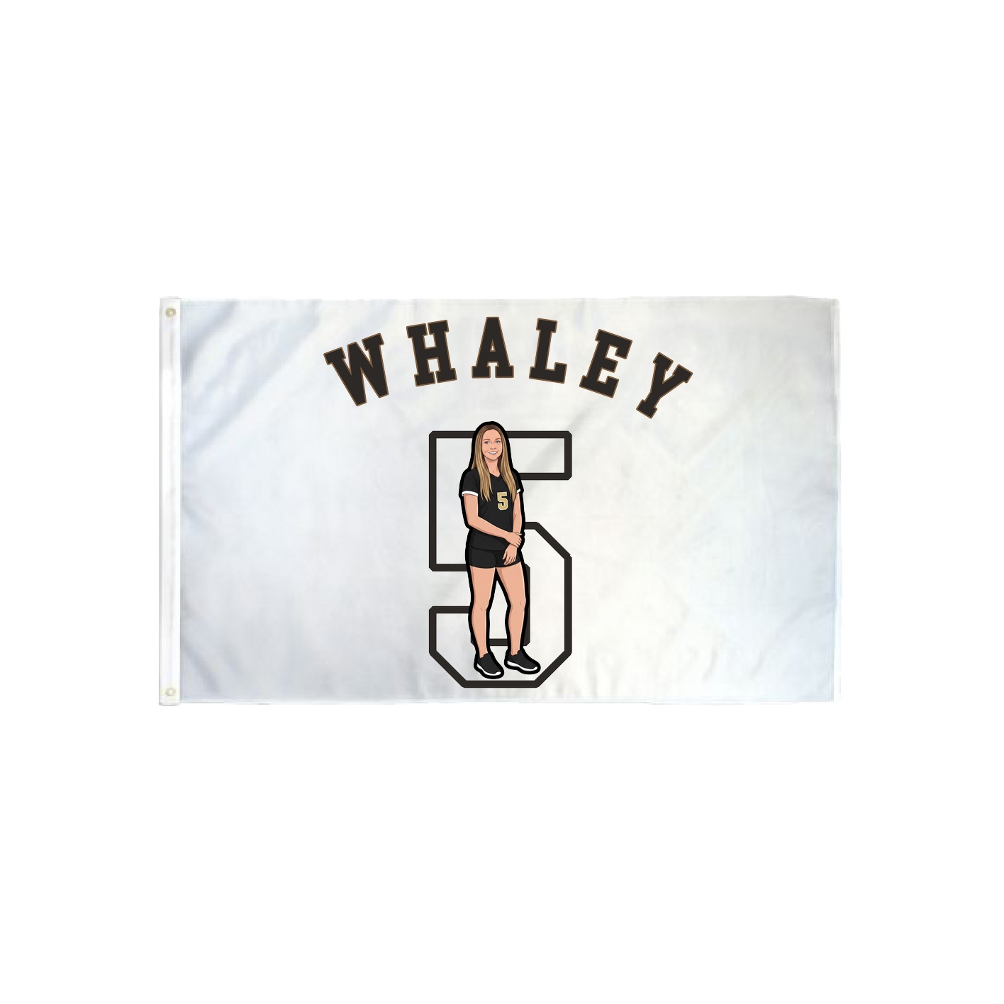 3x5 Flag — Shirsey Arch in Classic
