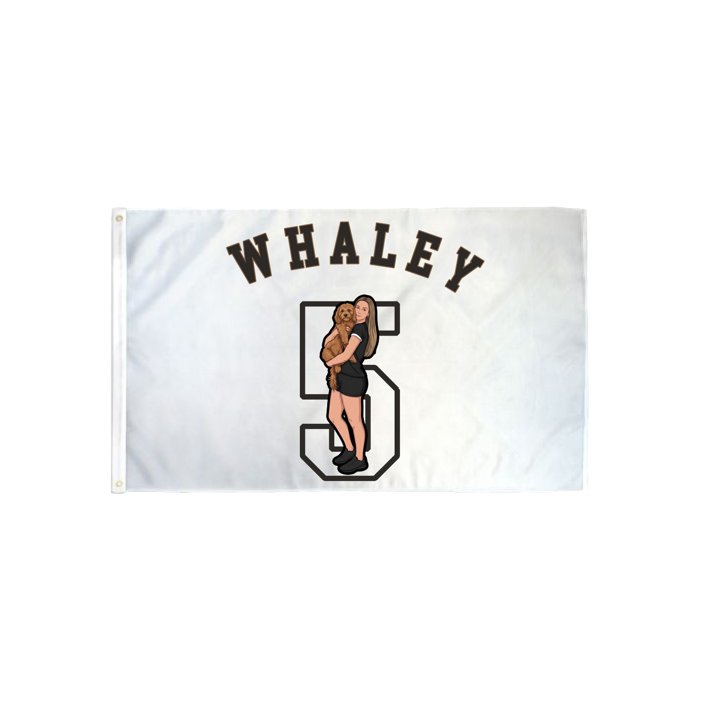 3x5 Flag — Shirsey Arch in Classic