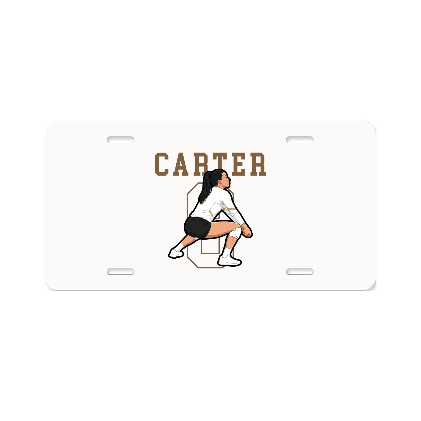 License Plate