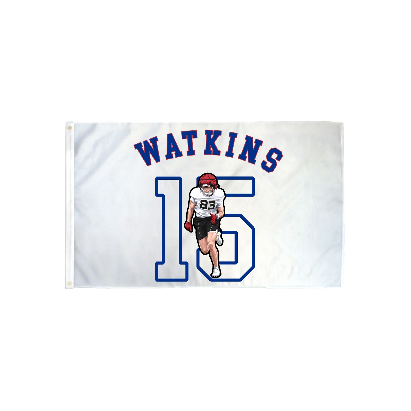 3x5 Flag — Shirsey Arch in Classic