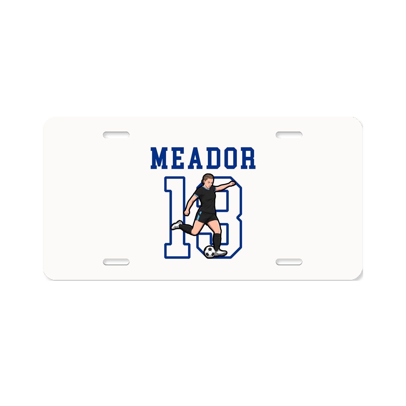 License Plate