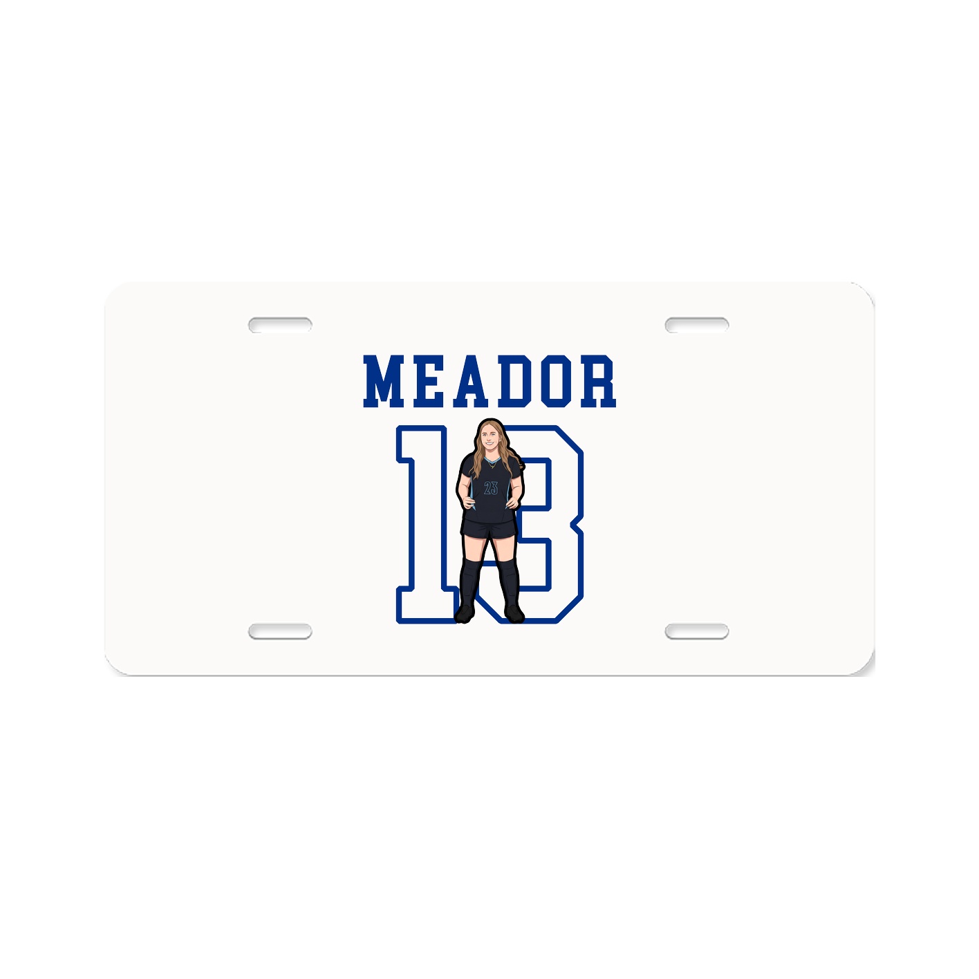 License Plate