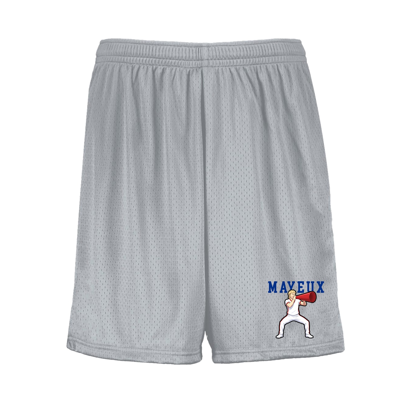 Shorts — Shirsey in Silver