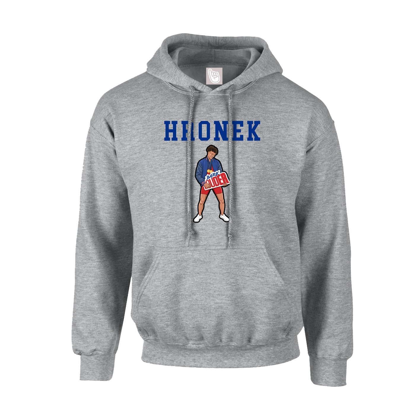 Hoodie — Shirsey in Grey