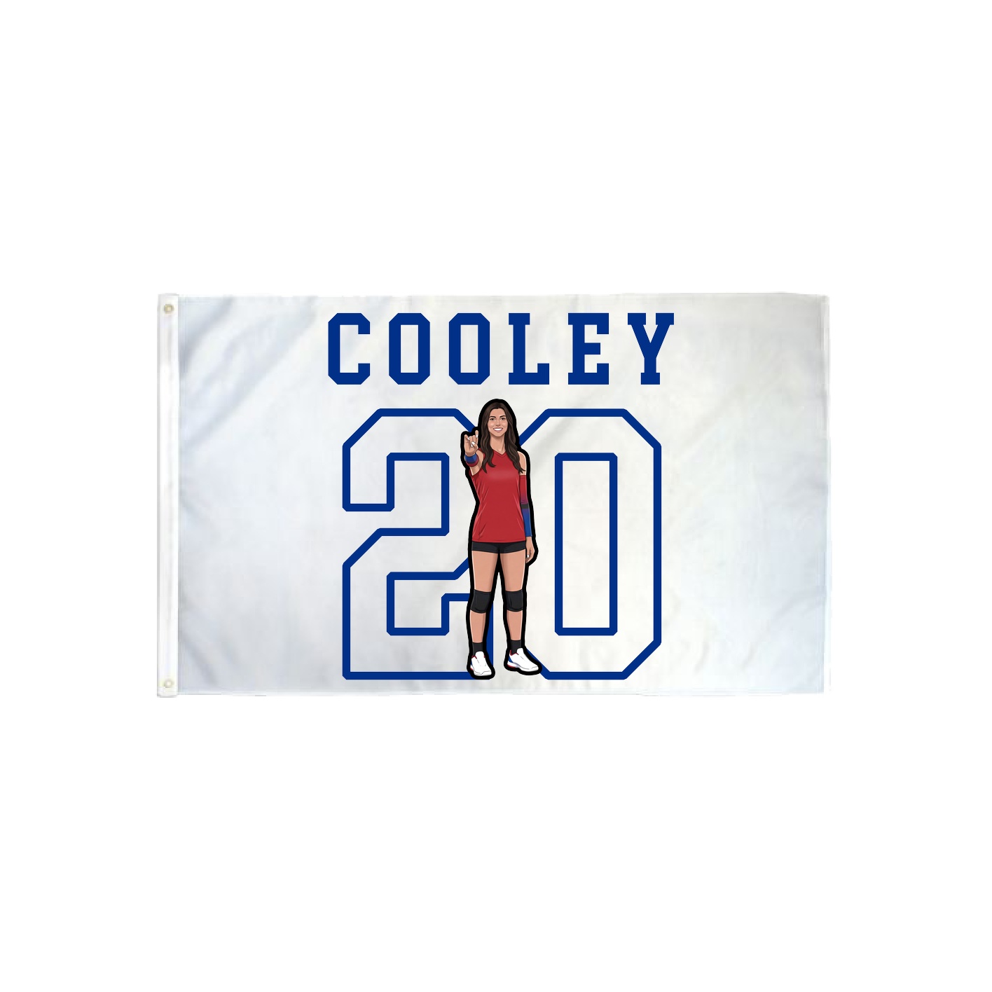 3x5 Flag — Shirsey in Classic