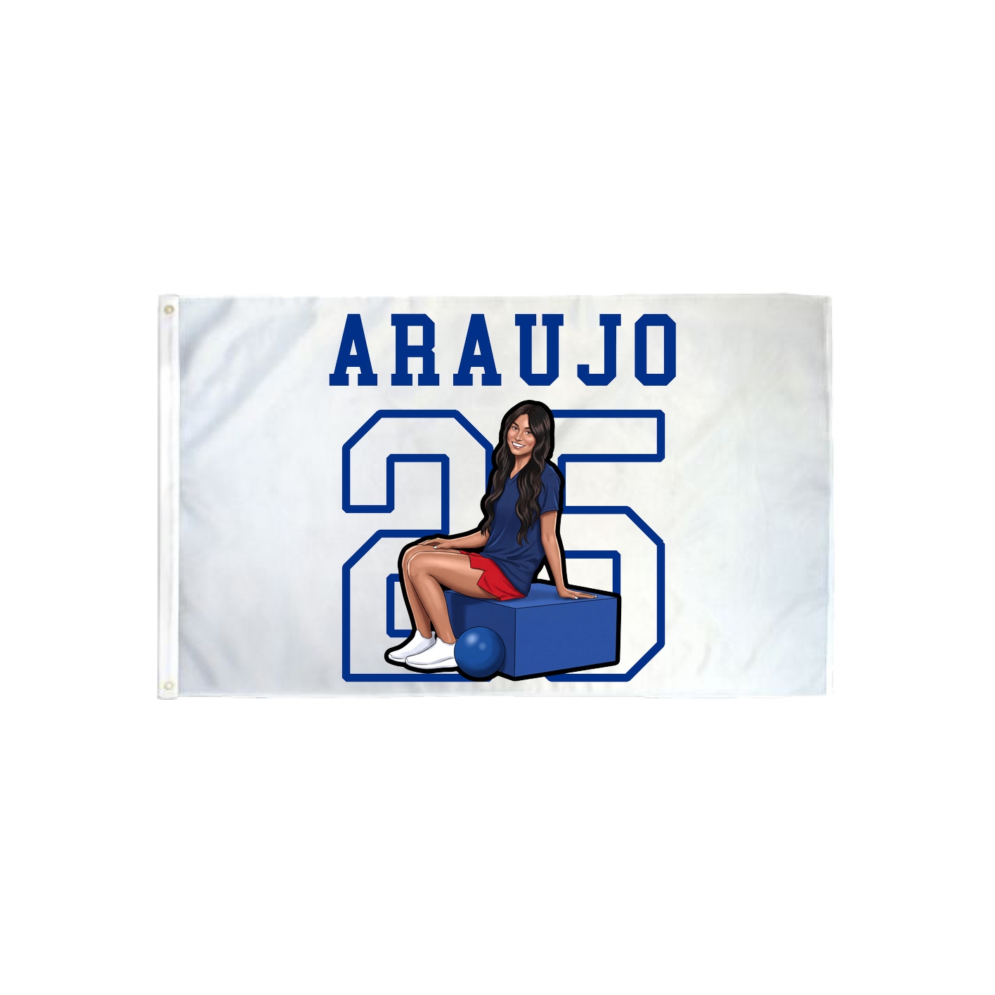 3x5 Flag — Shirsey in Classic