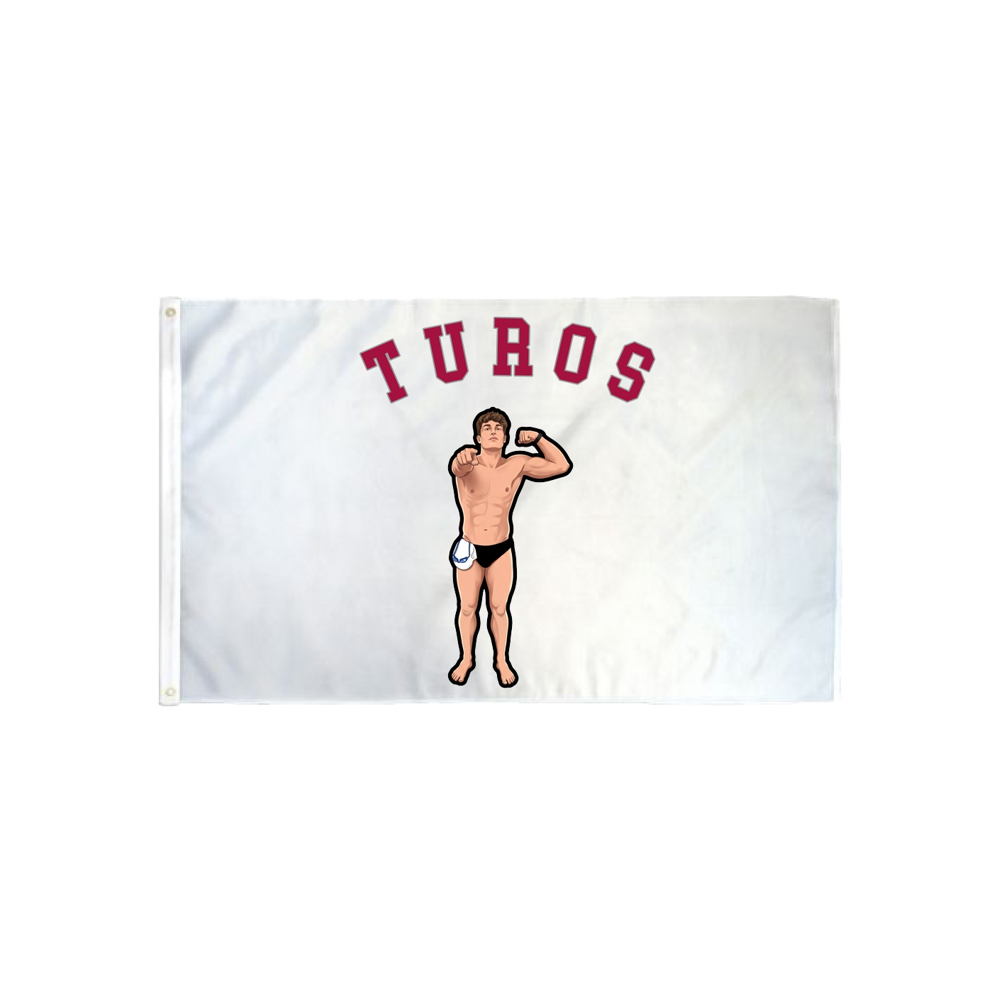 3x5 Flag — Shirsey Arch in Classic