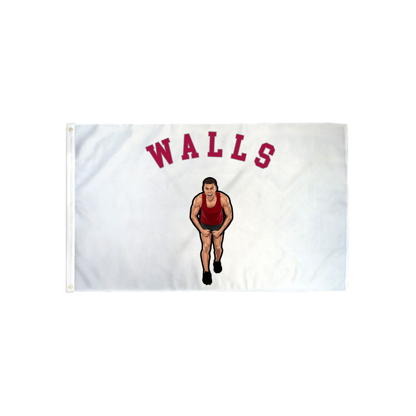 3x5 Flag — Shirsey Arch in Classic