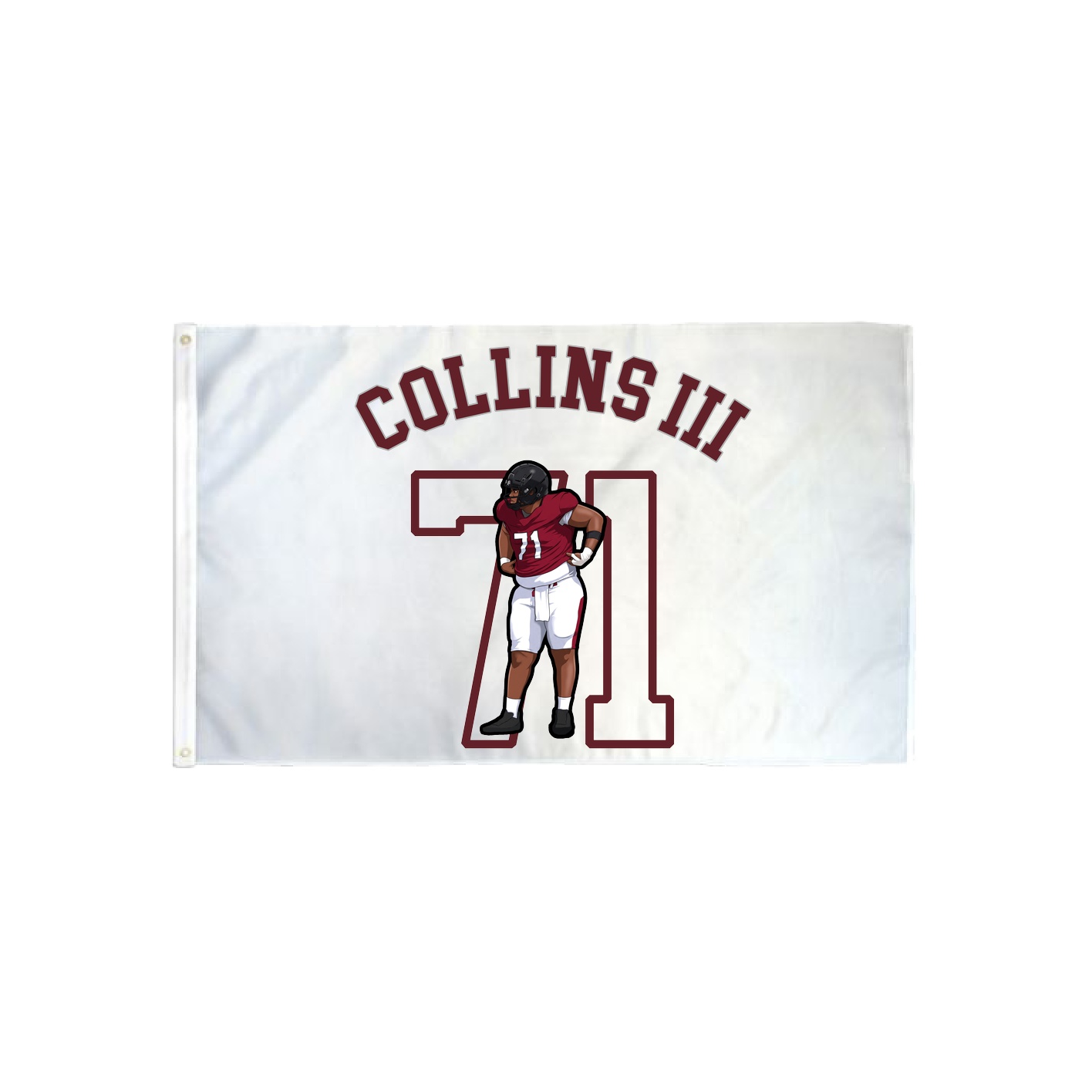 3x5 Flag — Shirsey Arch in Classic