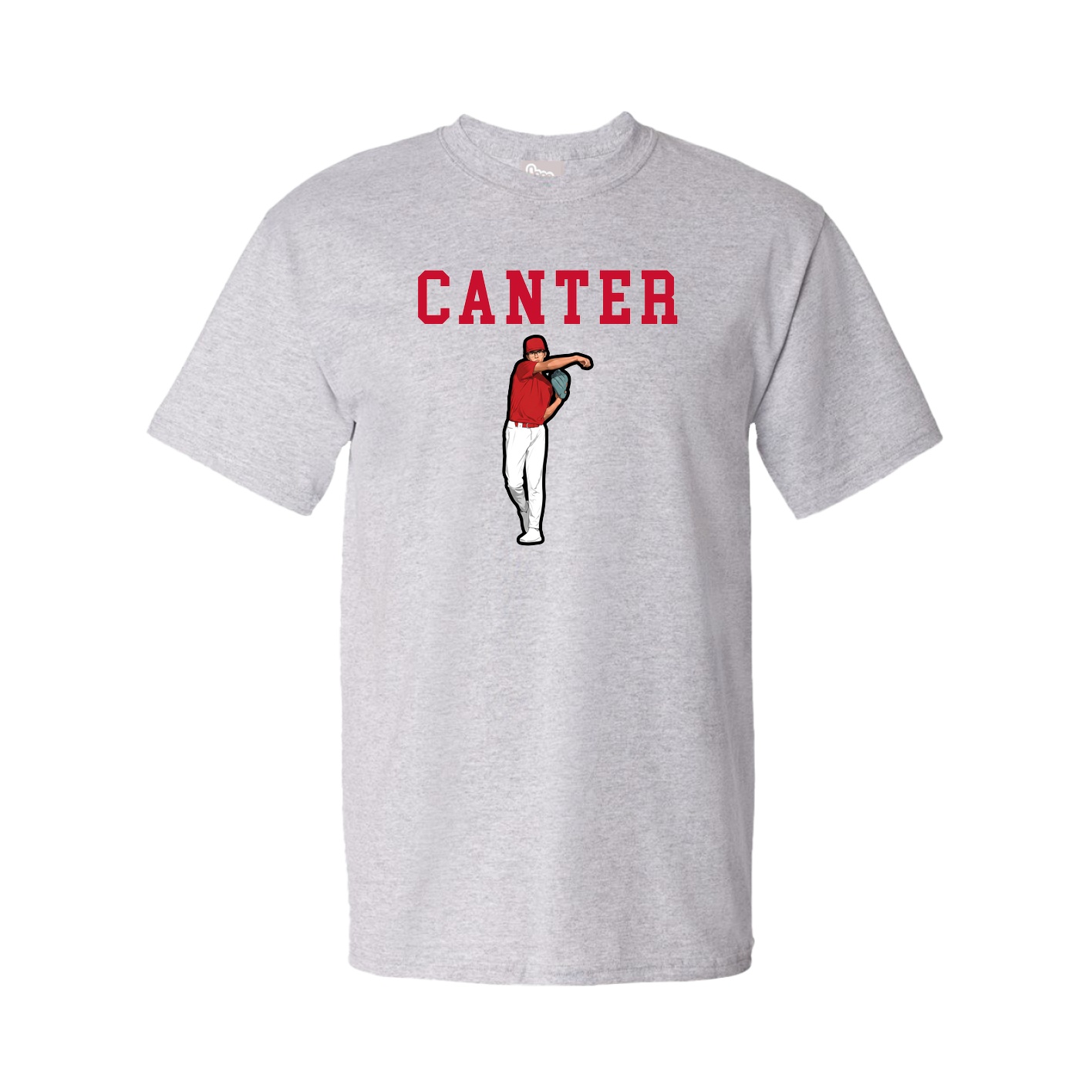 Tee — Shirsey in Grey