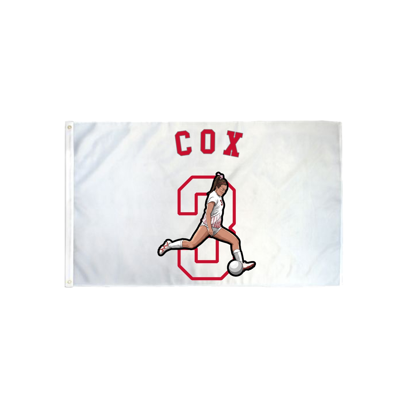 3x5 Flag — Shirsey Arch in Classic