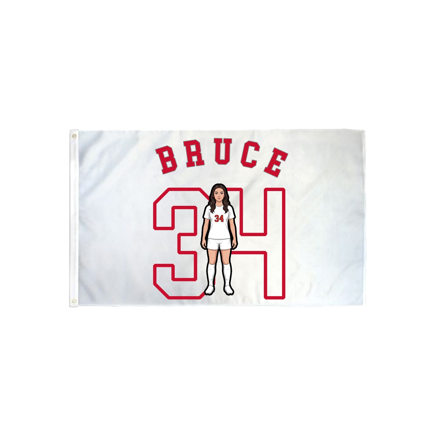 3x5 Flag — Shirsey Arch in Classic