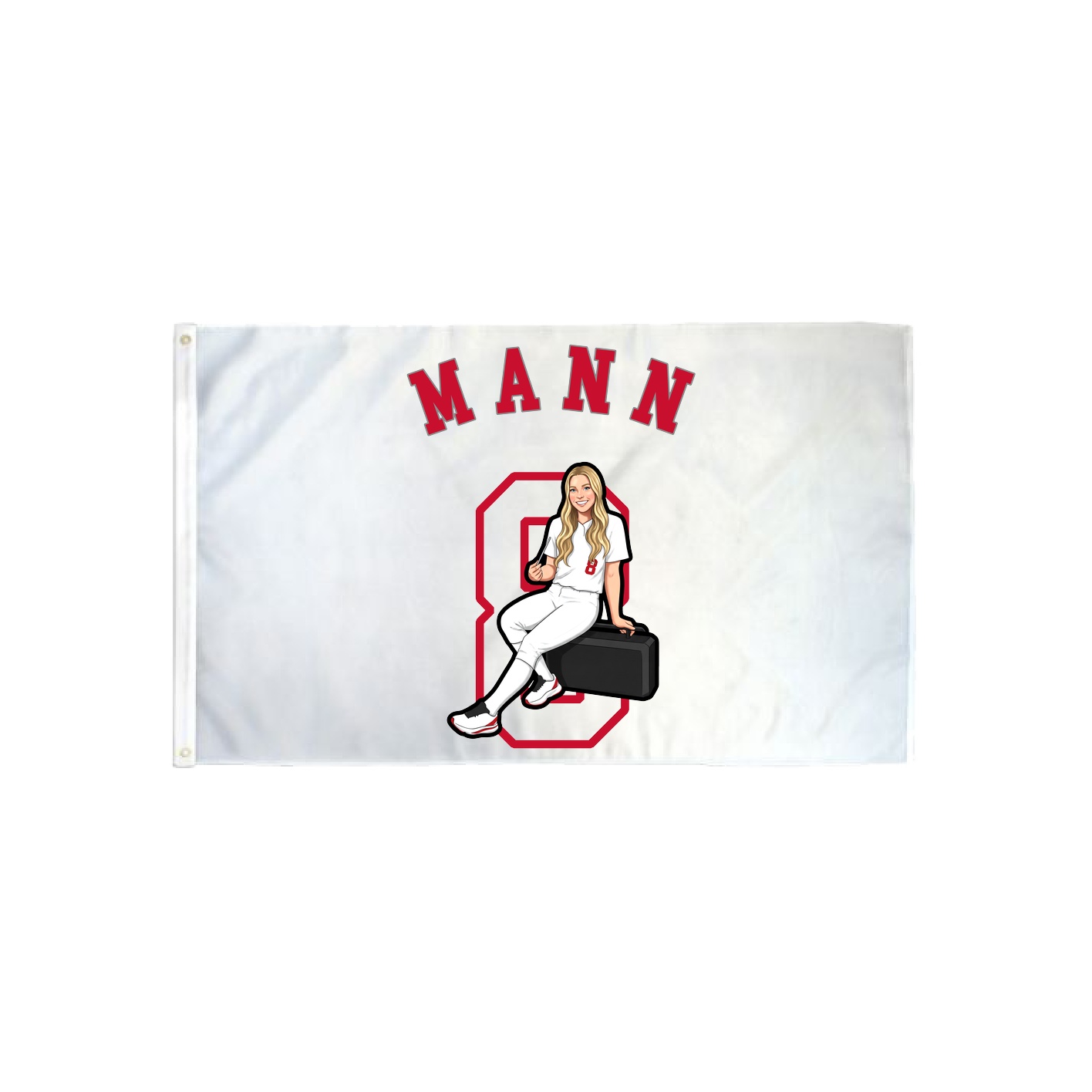 3x5 Flag — Shirsey Arch in Classic