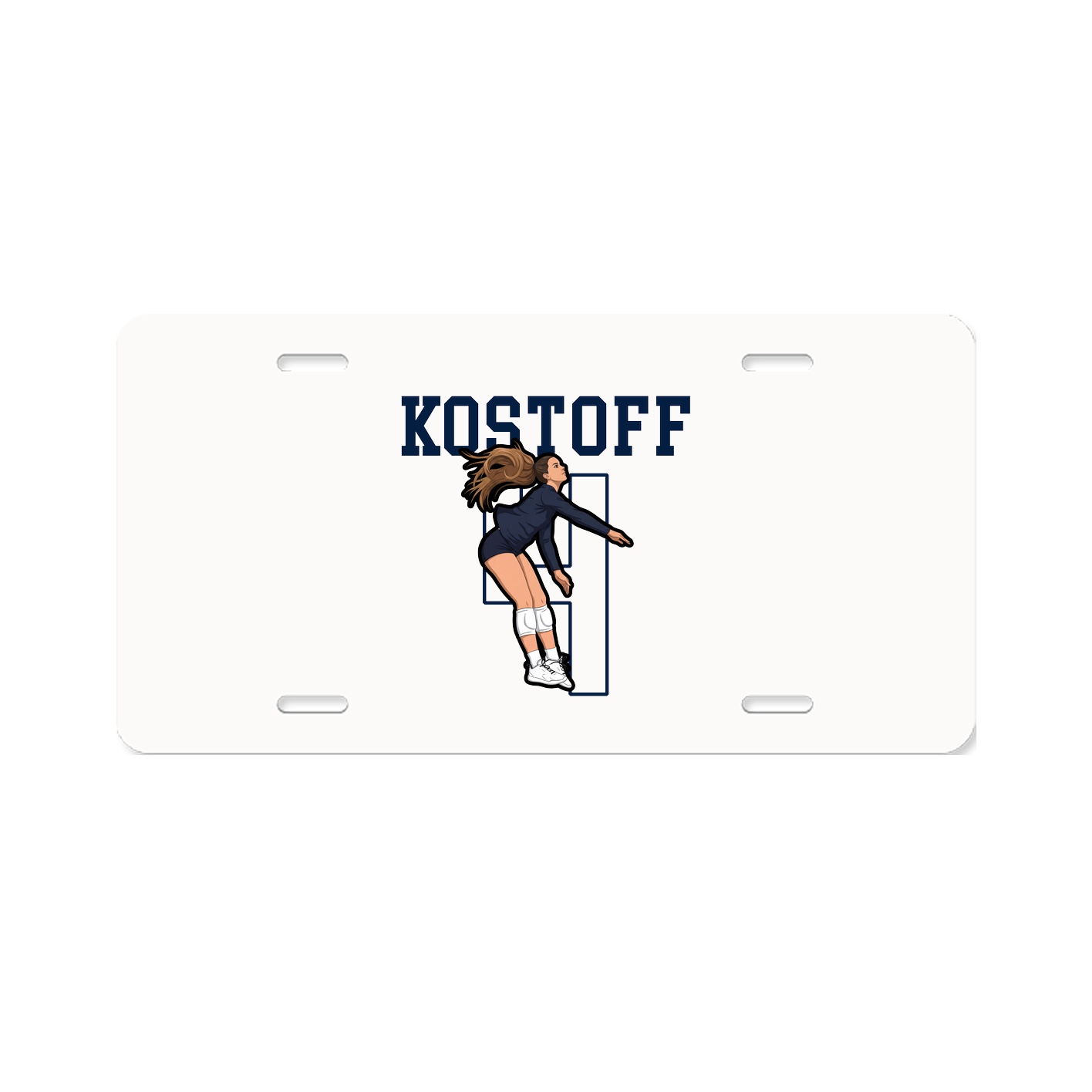 Aluminum License Plate
