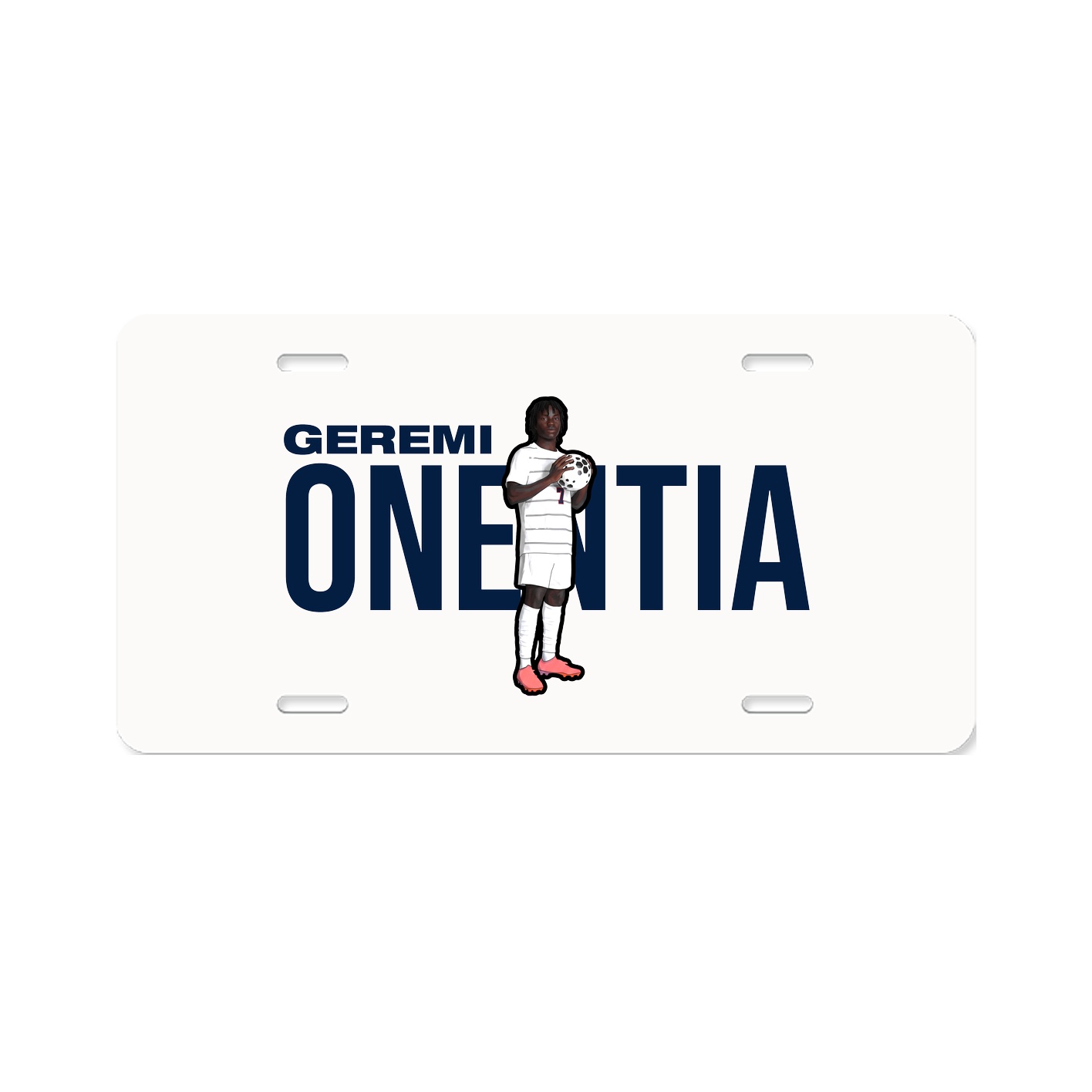 License Plate