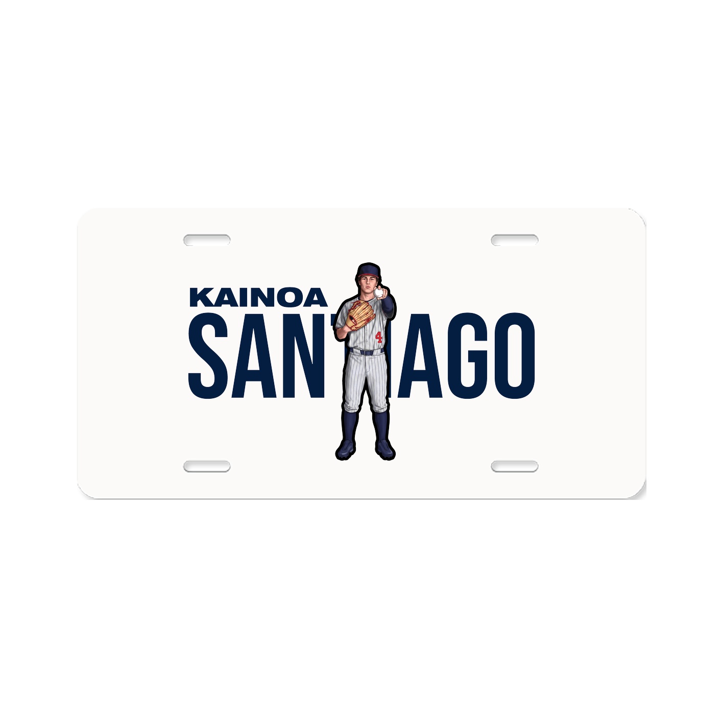 License Plate