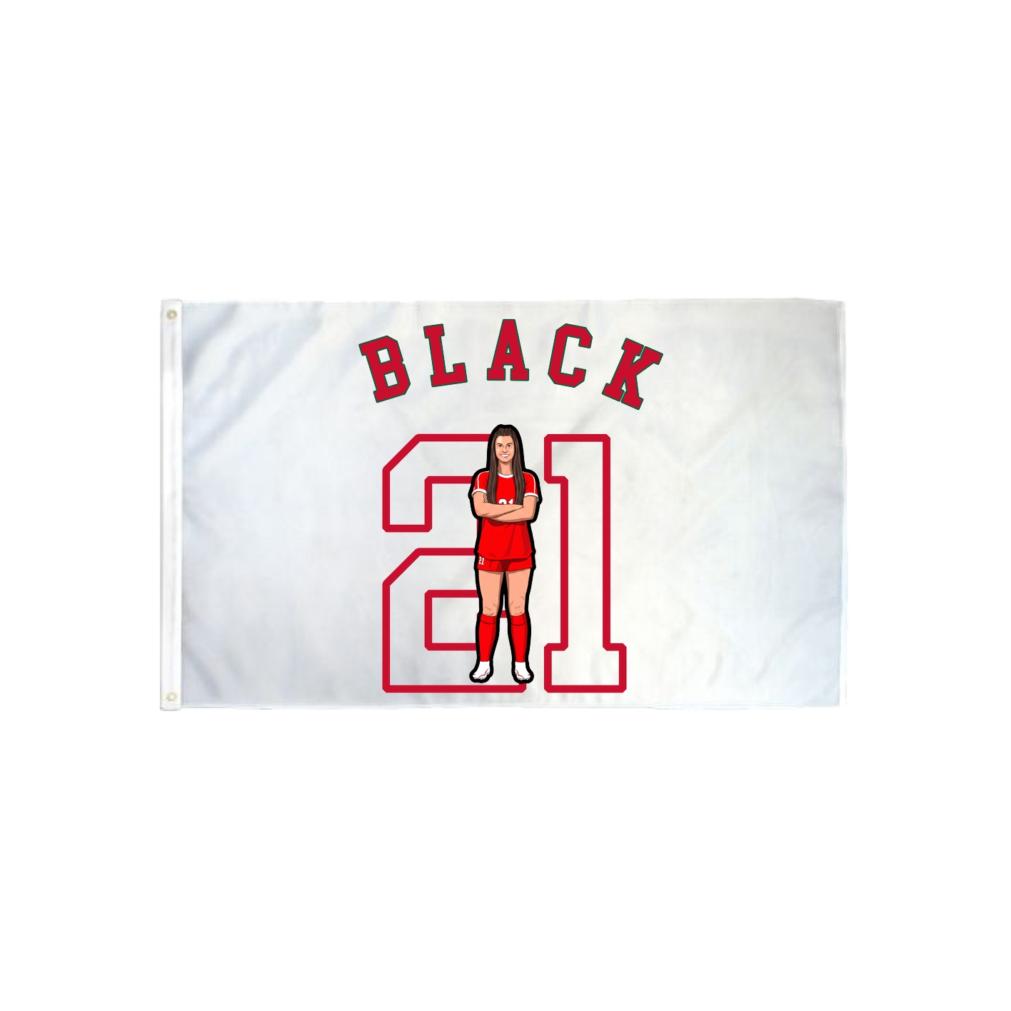 3x5 Flag — Shirsey Arch in Classic