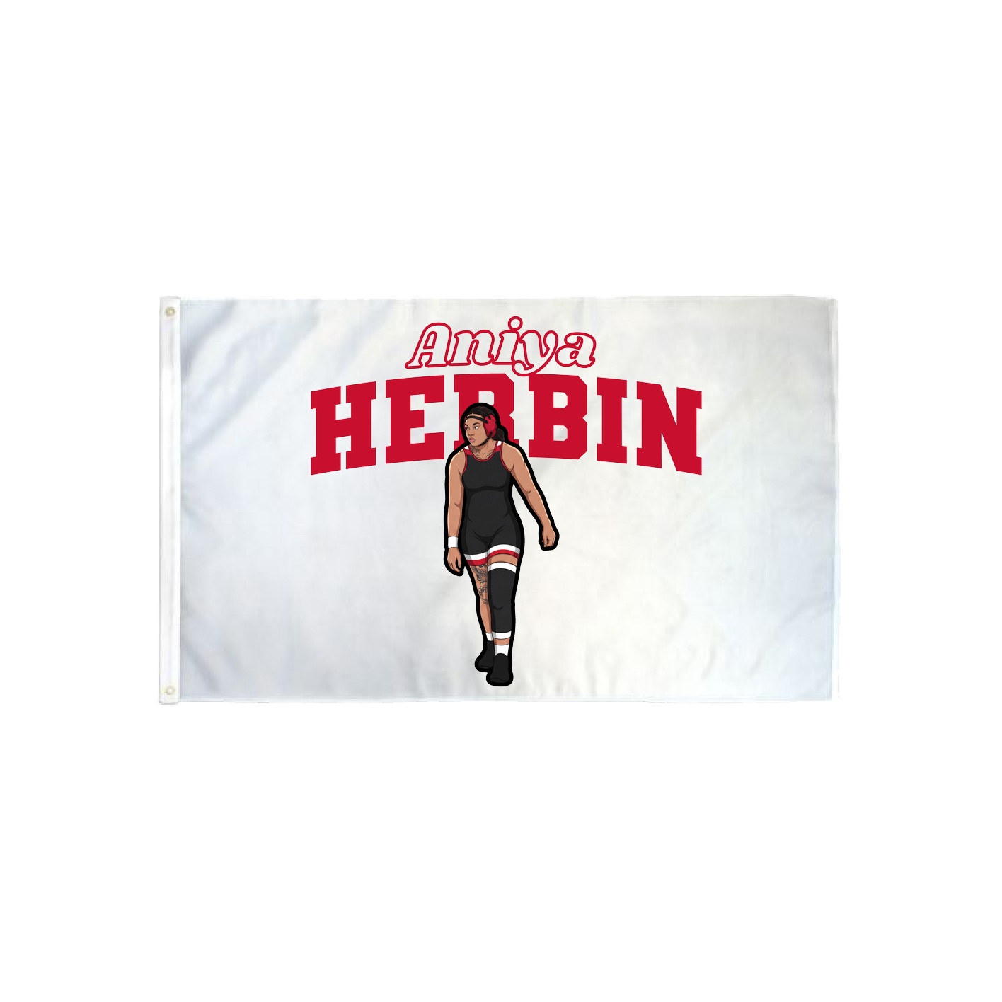 3x5 Flag — Name Arch in Classic
