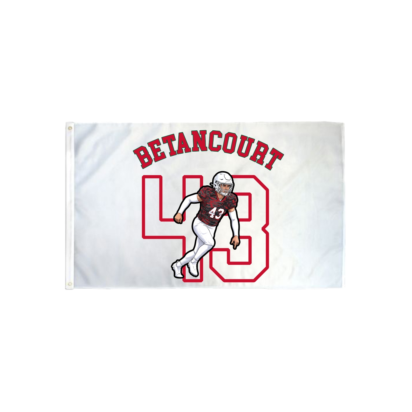 3x5 Flag — Shirsey Arch in Classic